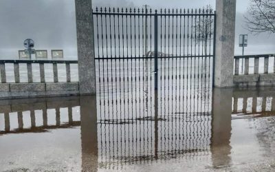La soledad y los derechos humanos