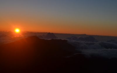 El peregrinaje del ser humano universal
