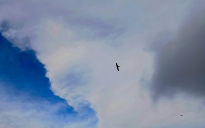 Prisión de muros invisibles